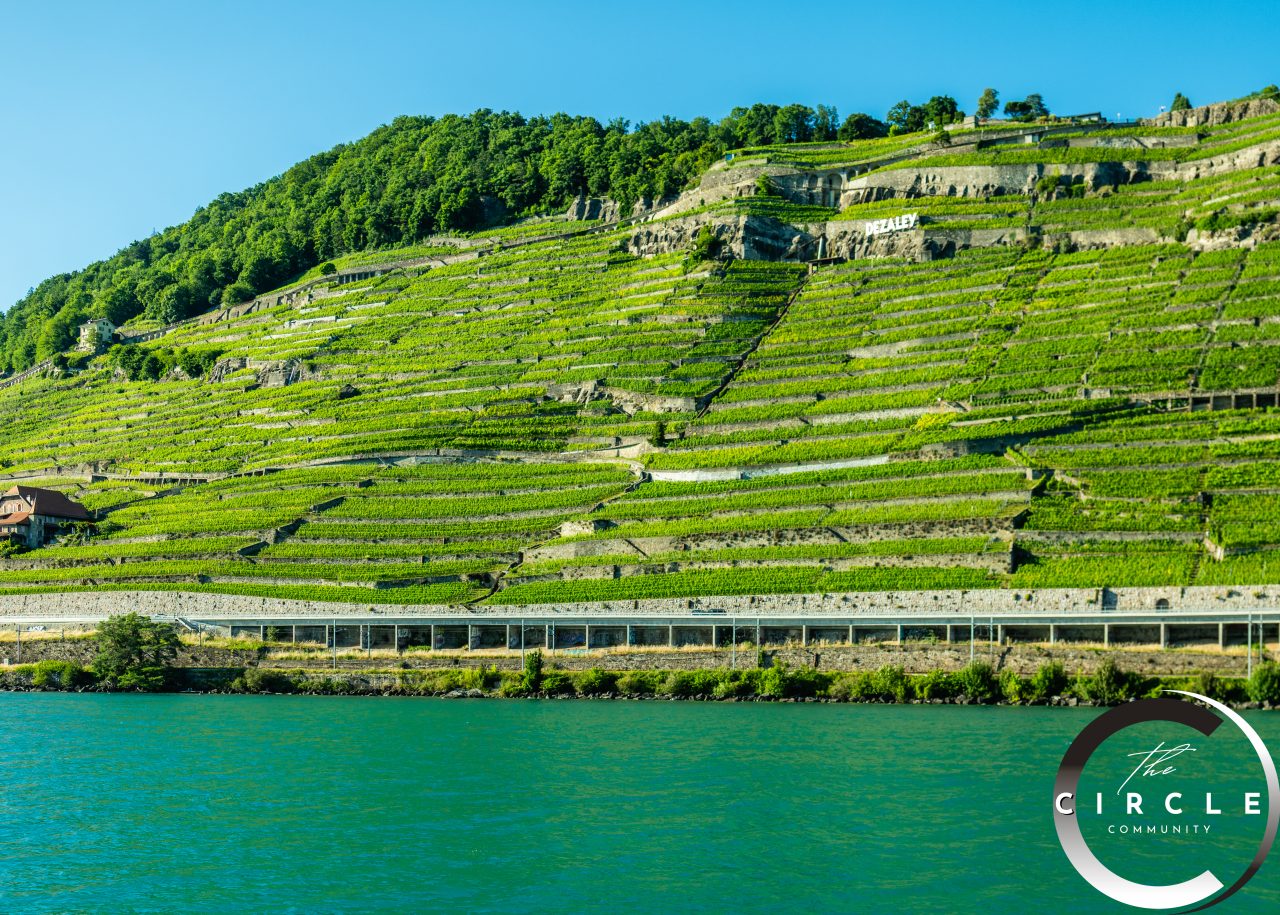 the circle love cruise,la venoge lavaux-riviera,28.06 (10)